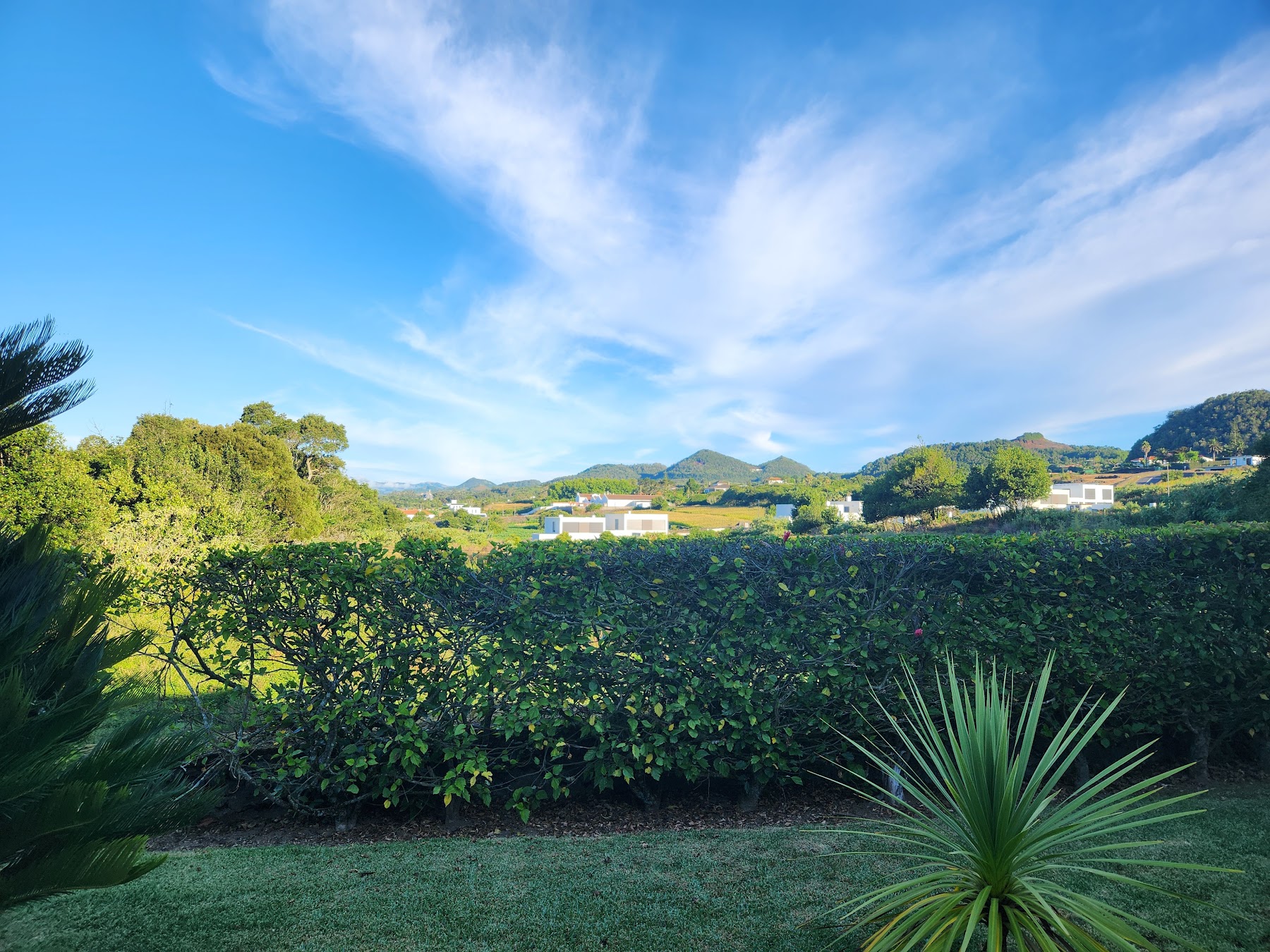 Green hillside view near Casa Branca in Cabouco