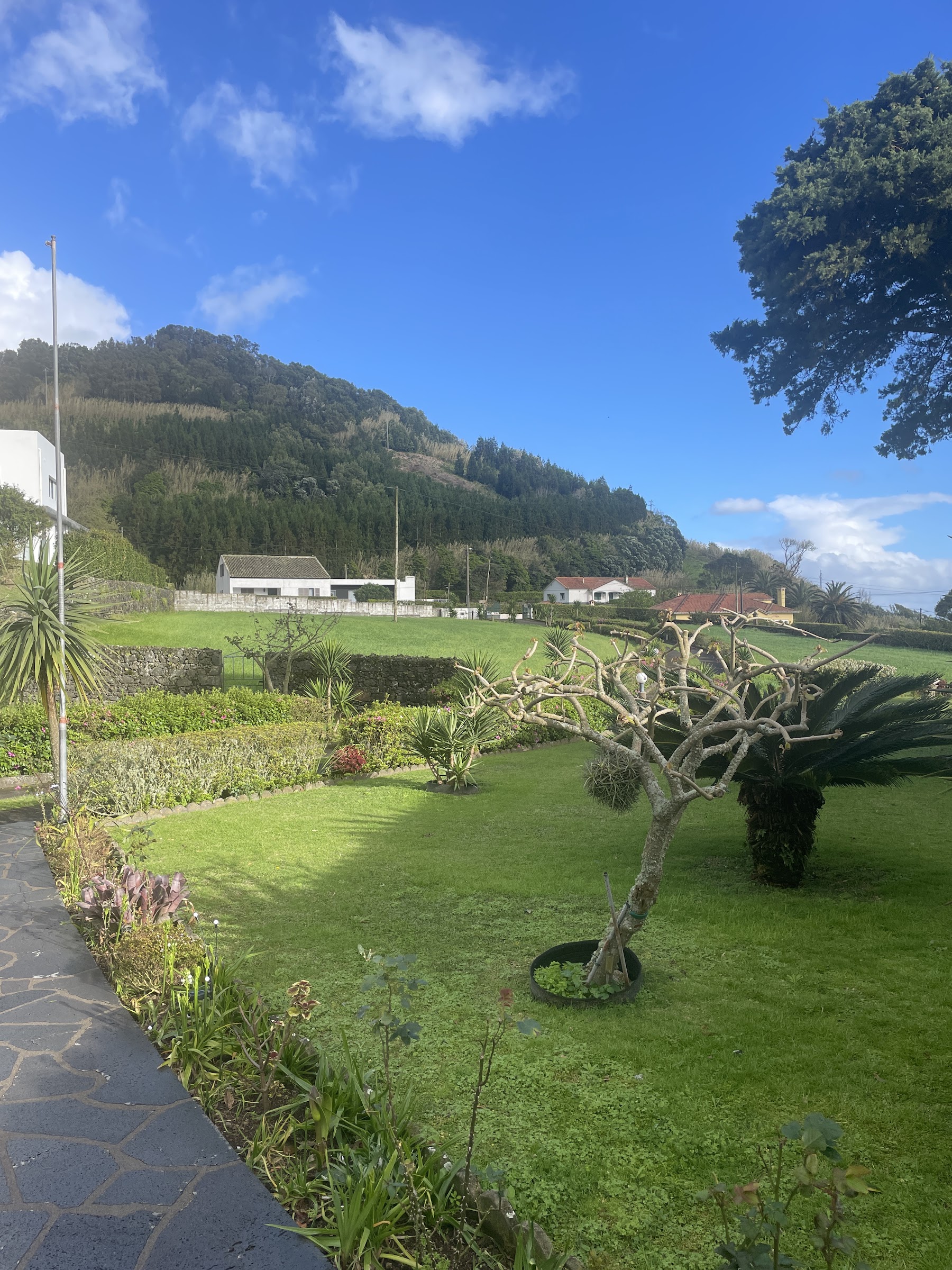 Leafy semi-rural view with nearby homes and hills